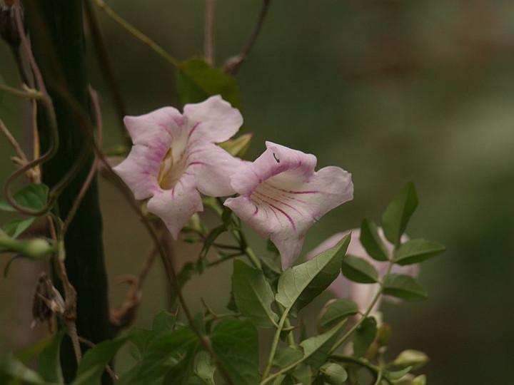 P9087480