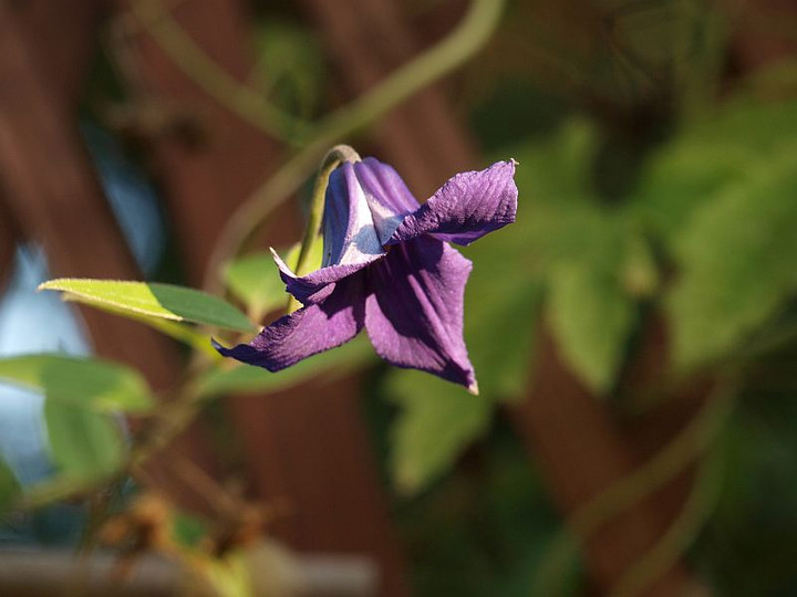 P9127558