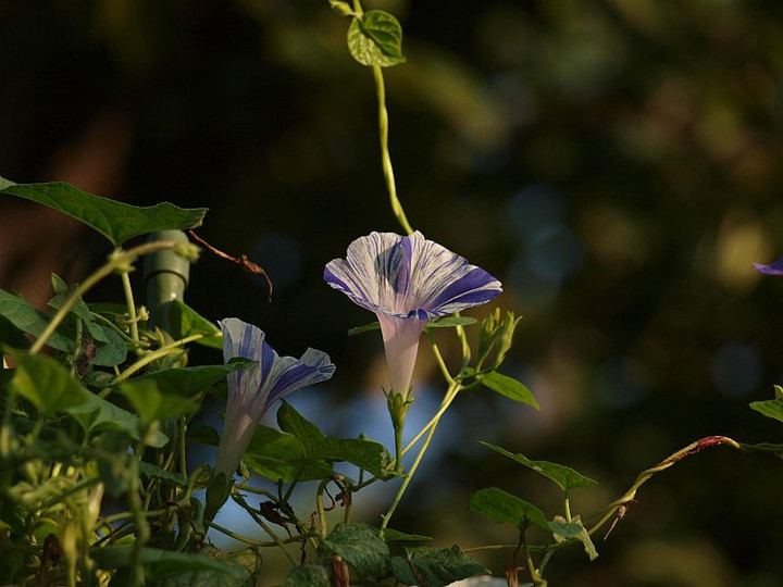 P9127559