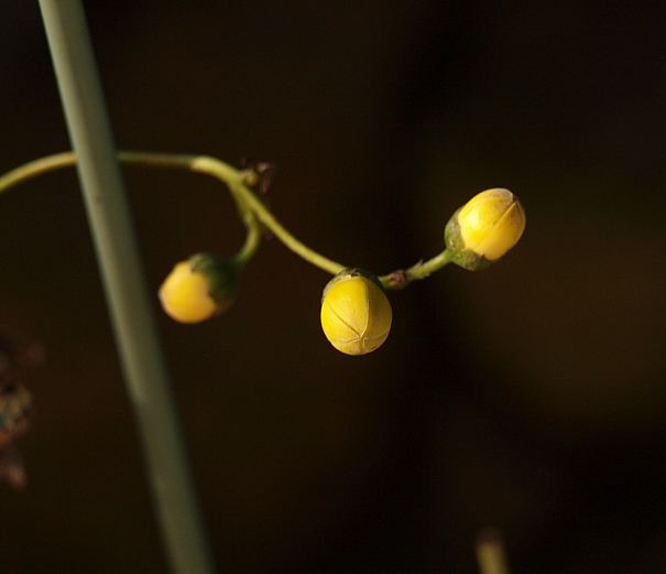 P9127579