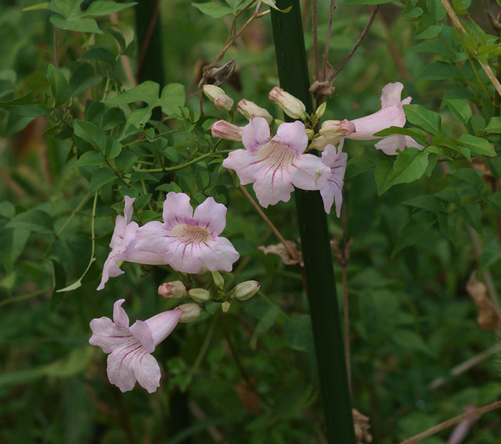P9137583