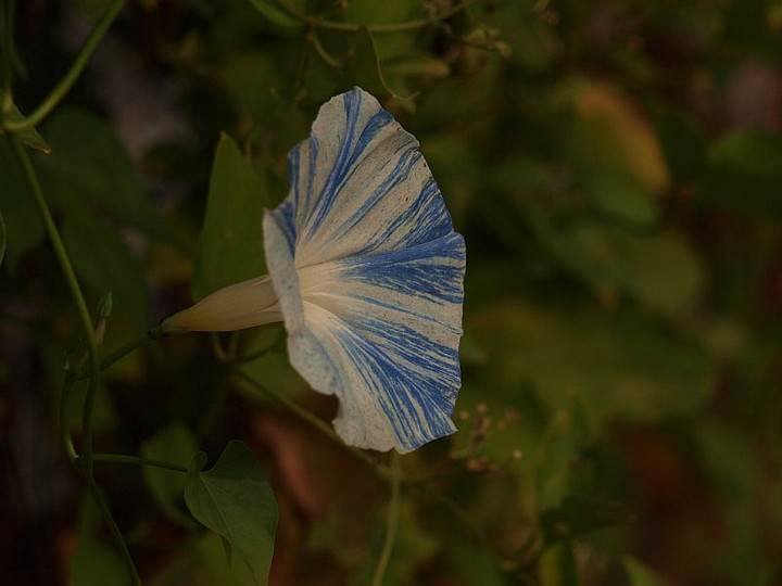 P9137587