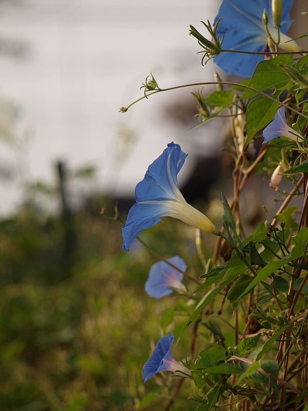 P9137588_3