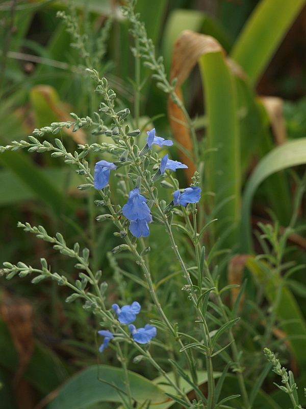 P9137596