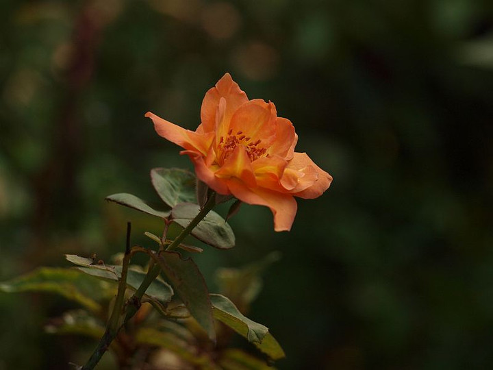 P9137610