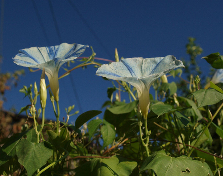 P9157665