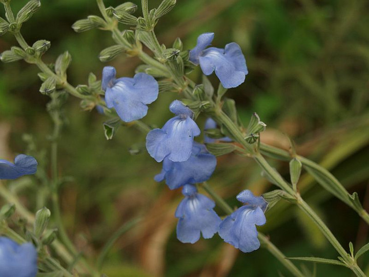 P9157706