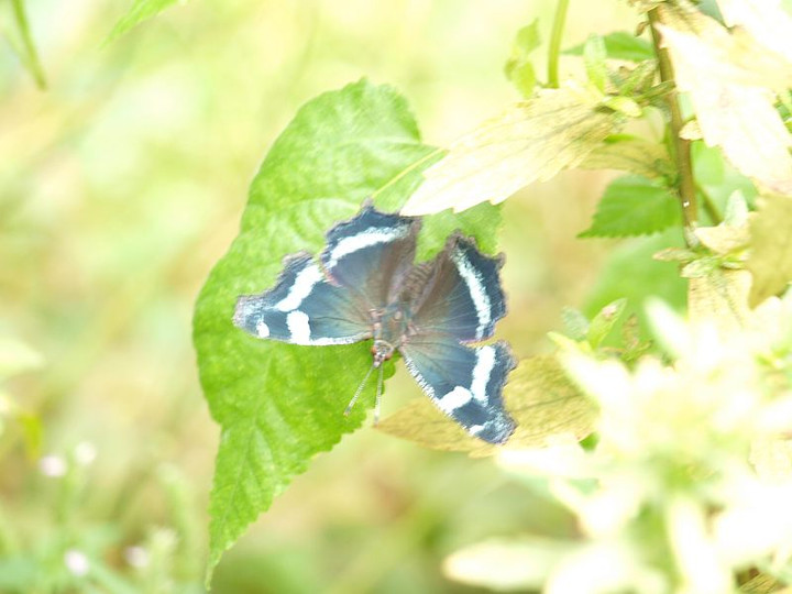P9177730