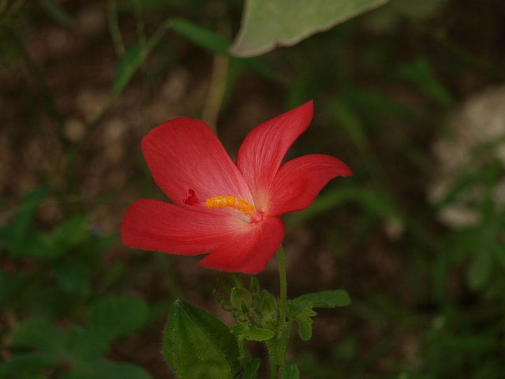 P9177740