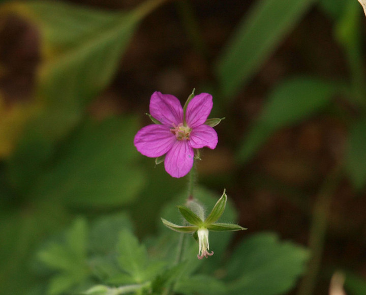 P9177759