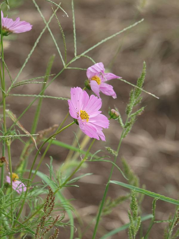 P9187803