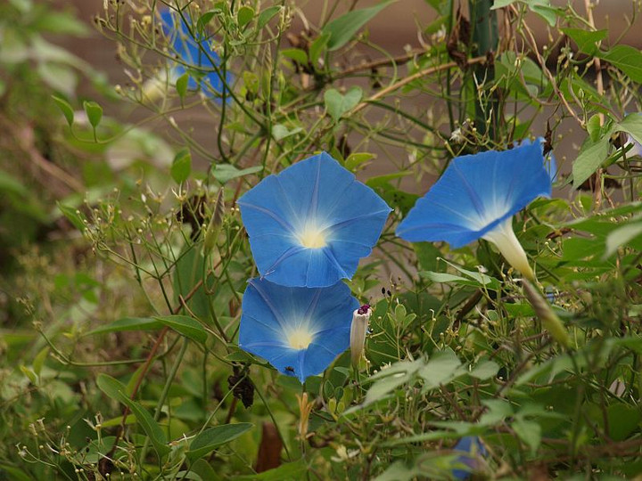 P9207874