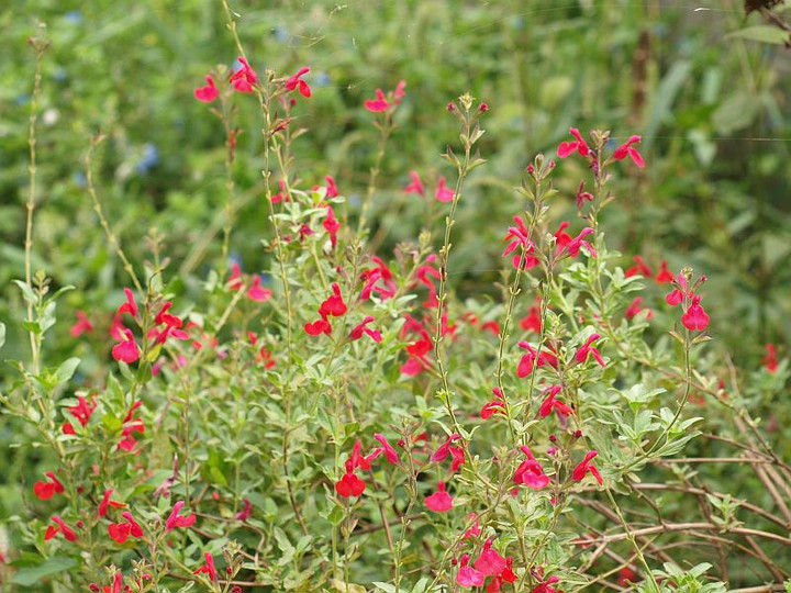 P9207886