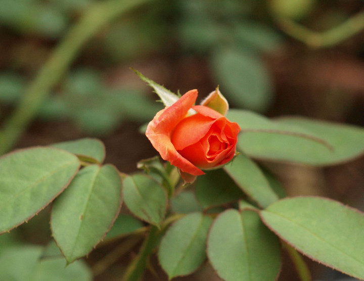 P9207887
