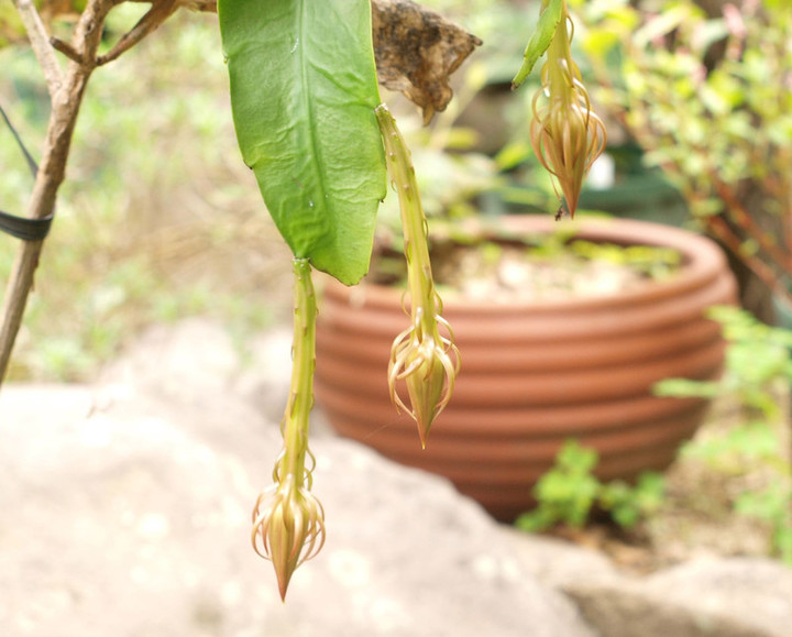 P9207889