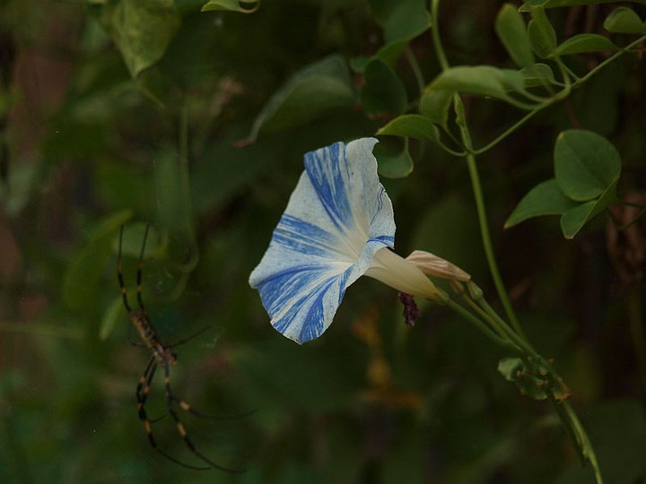 P9217900