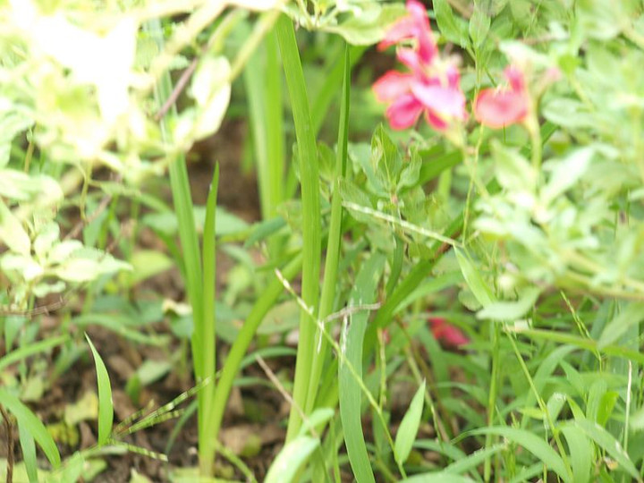 P9228008