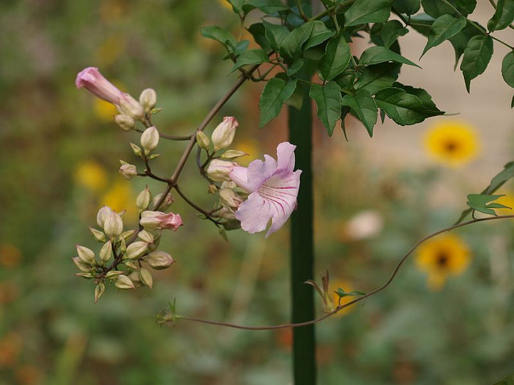 P9228011