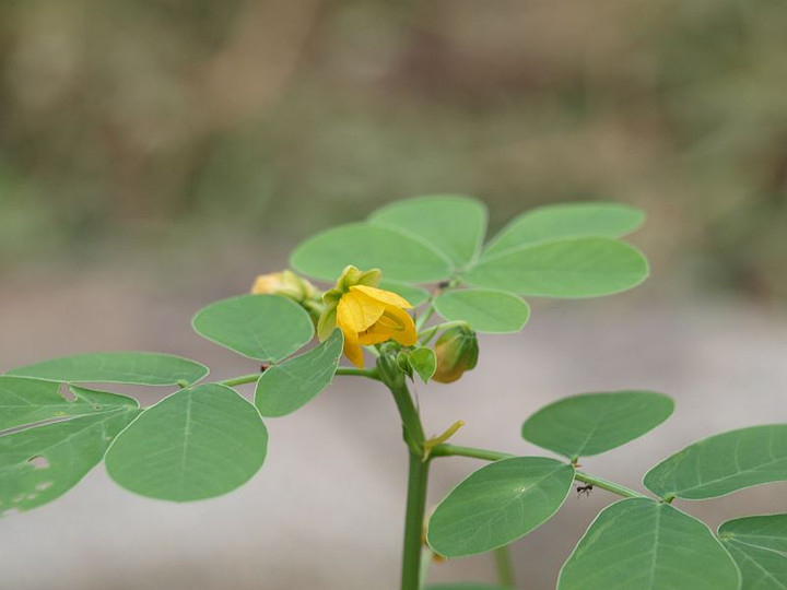 P9228028