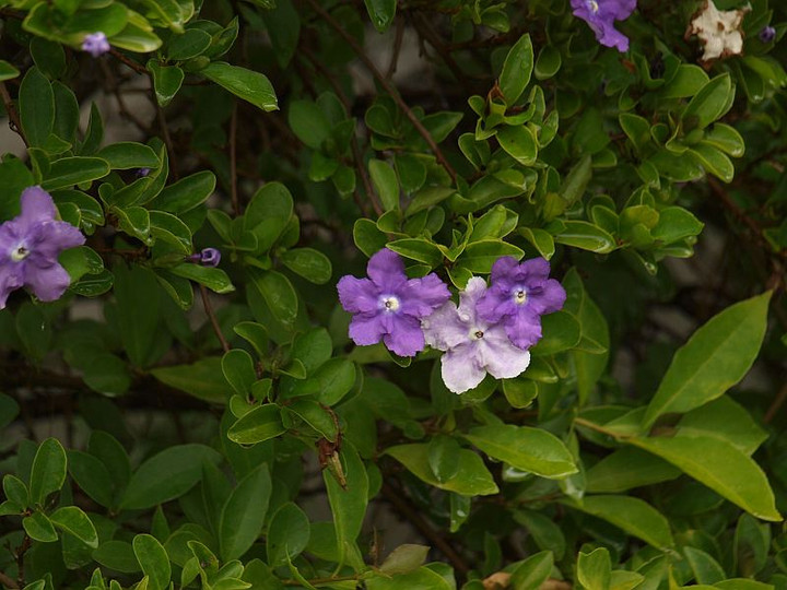 P9238081