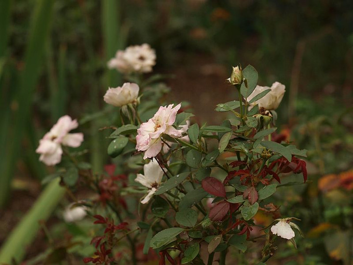 P9238088