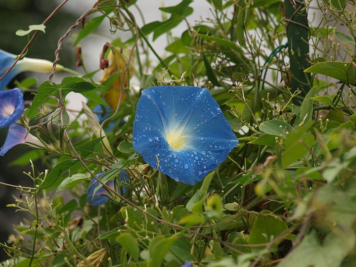 P9238089