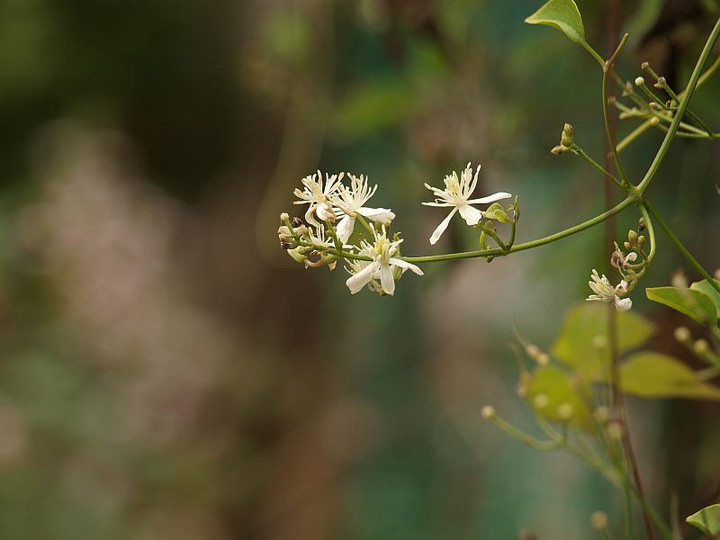 P9238090