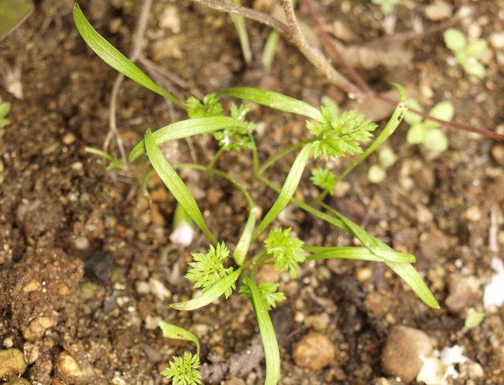 P9238097