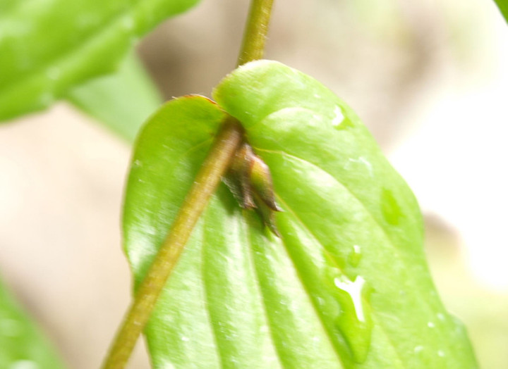 P9238104