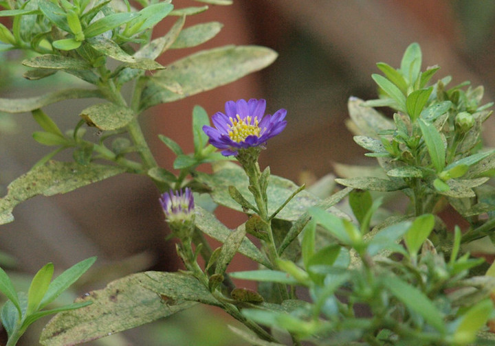 P9278326