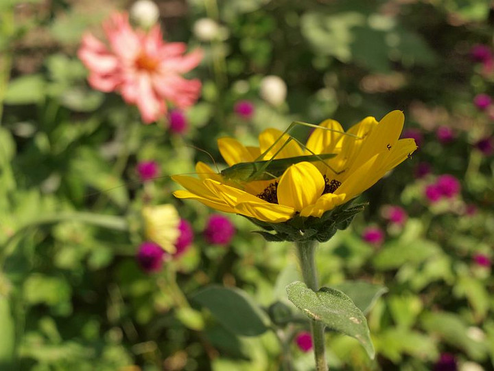 P9288489