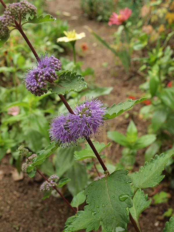 P9308576