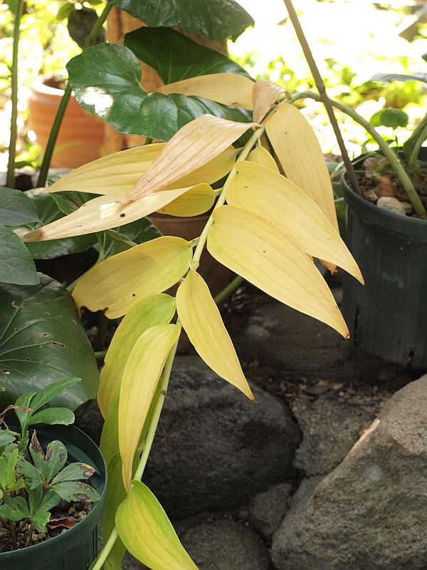 Pb010624