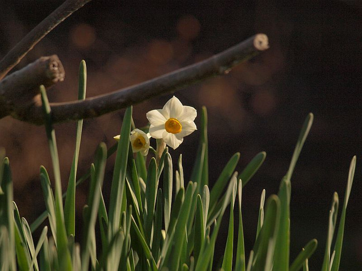P1073233