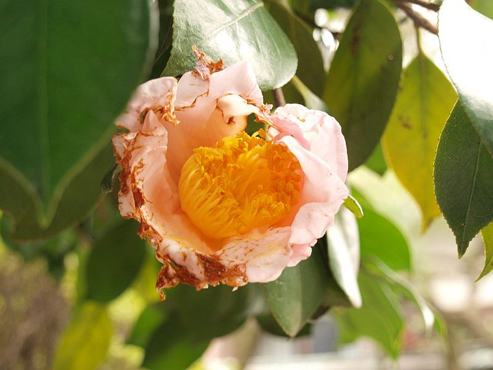 P1213874