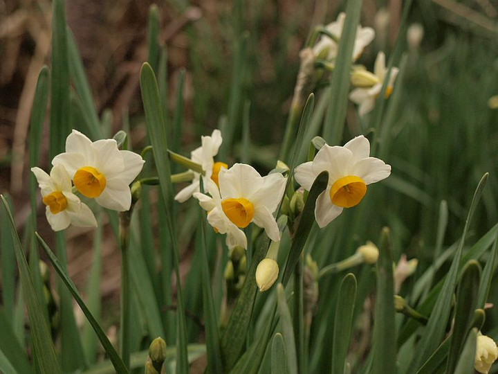 P1213891