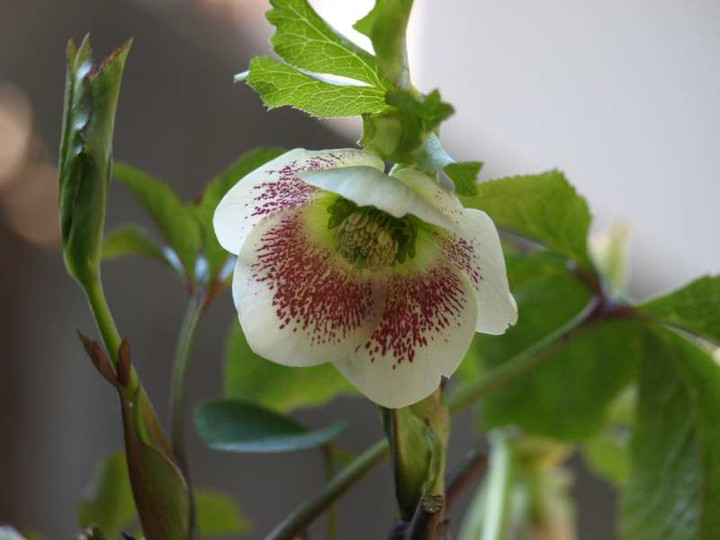 P3074907