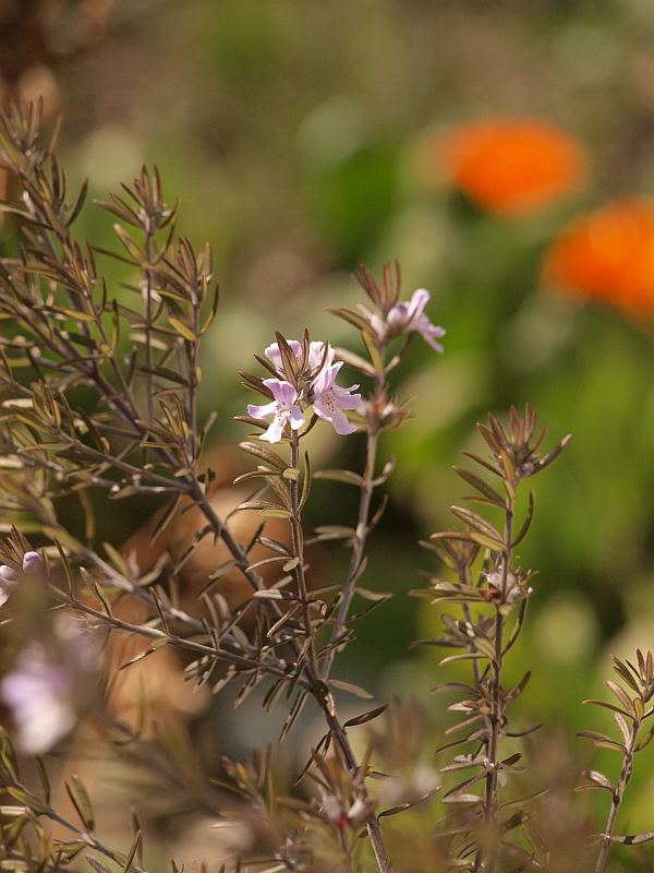 P1284033