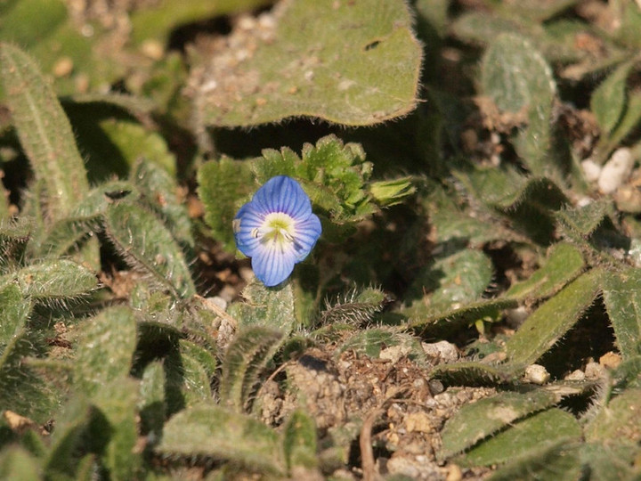 P1284034