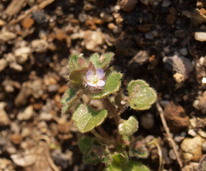 P2235921