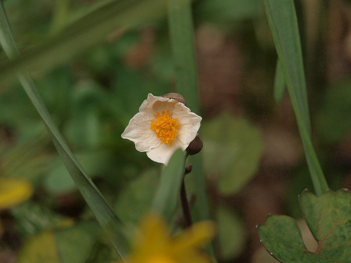 P3137087