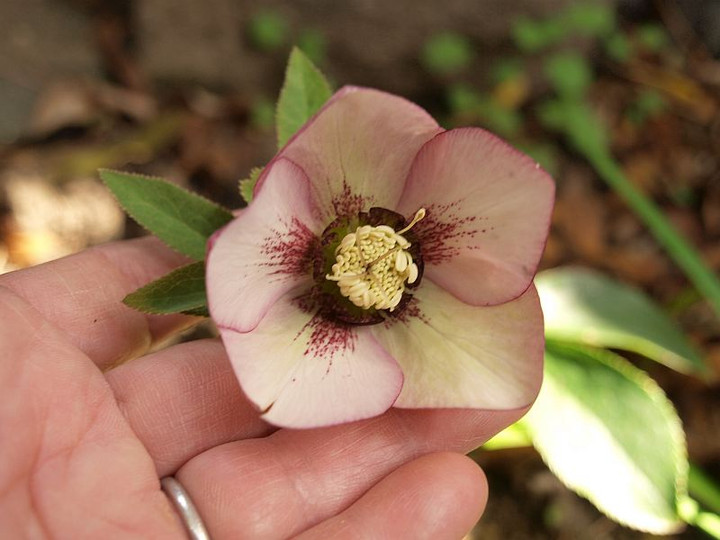 P3177489