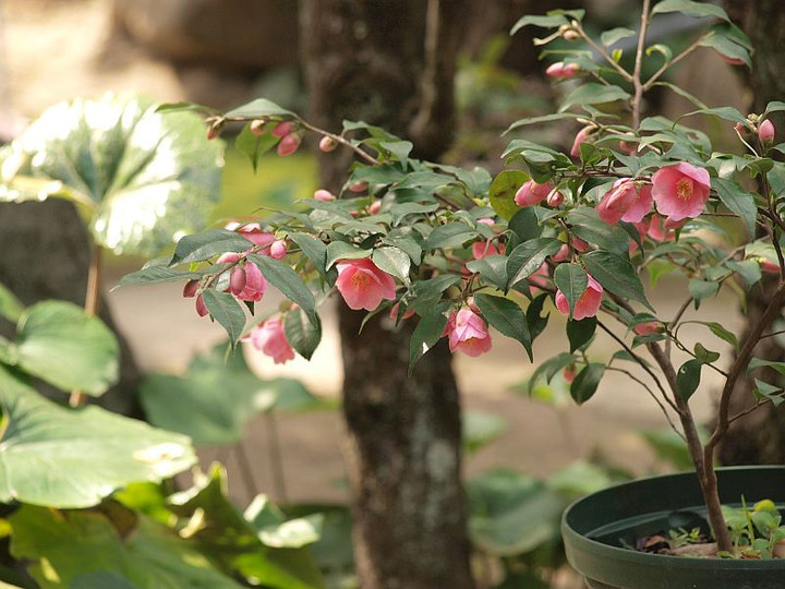 P3177500
