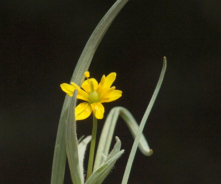 P3177512