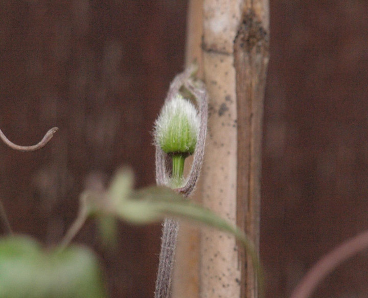 P3187519