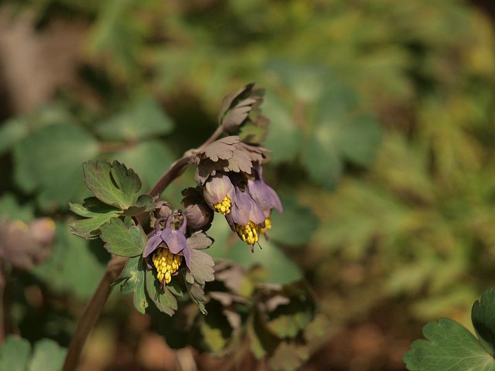 P3197597