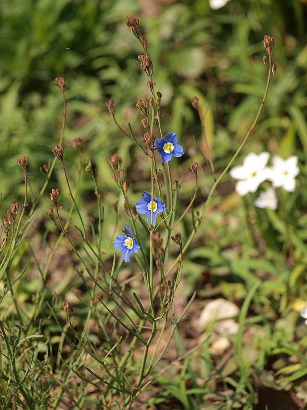 P3238253