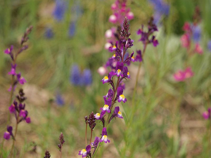 P3258349