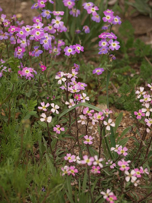 P3258354