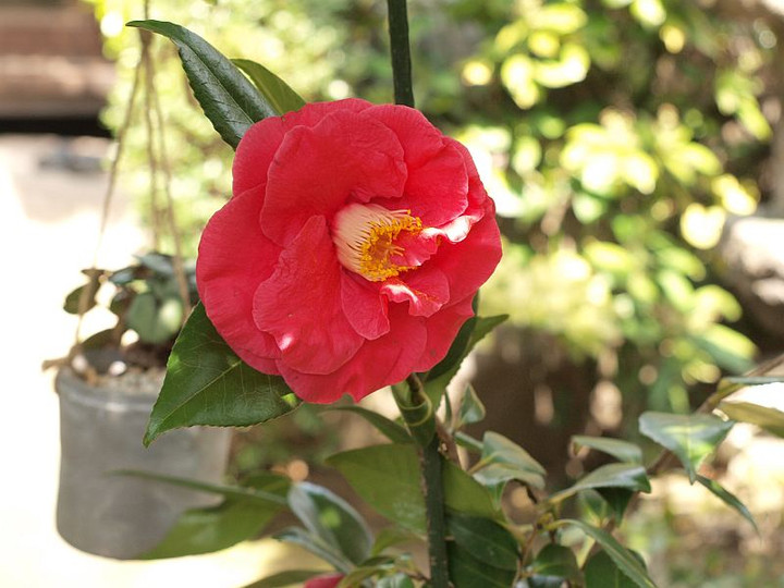 P3268504